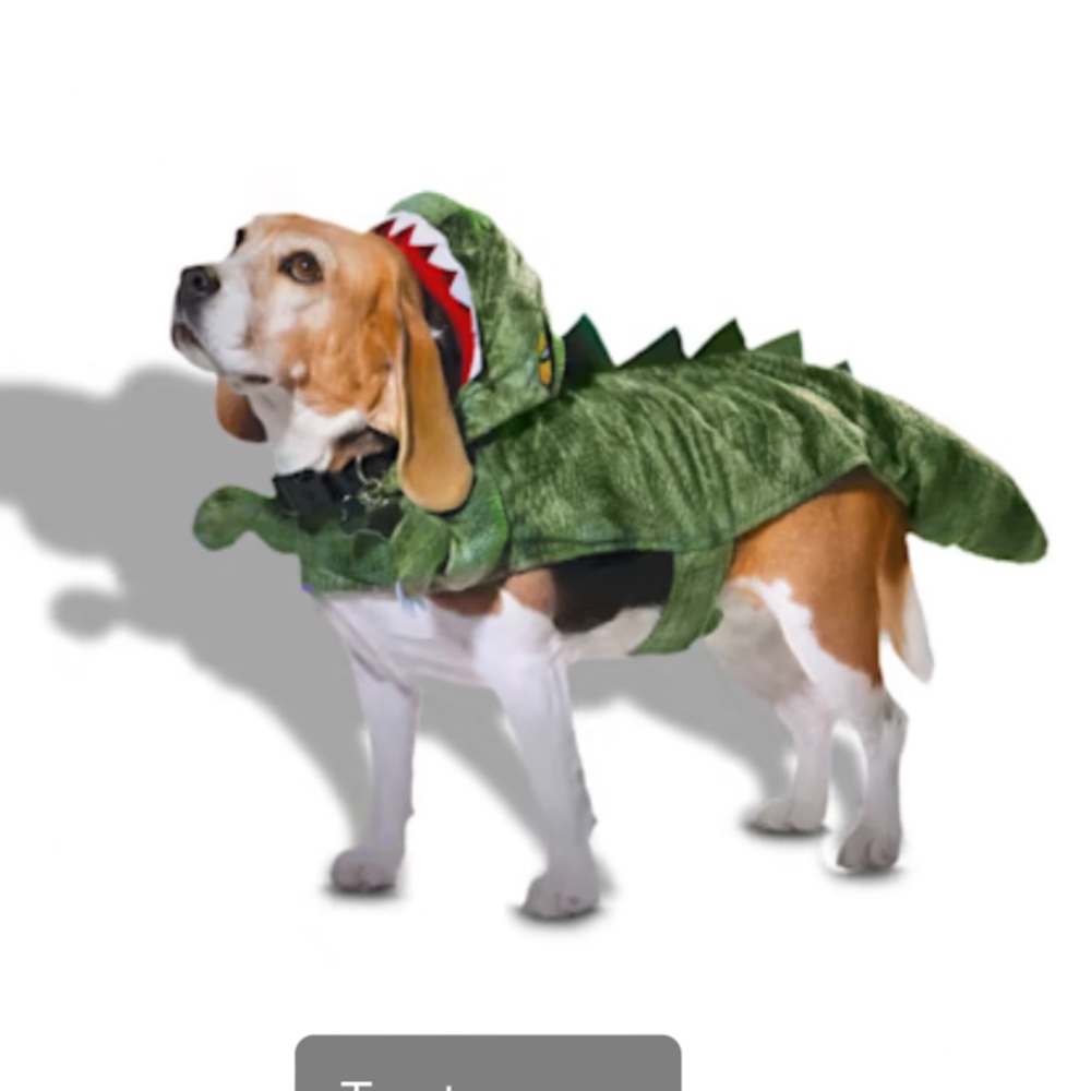 Pet Dinosaur Costume in 3xlarge and small